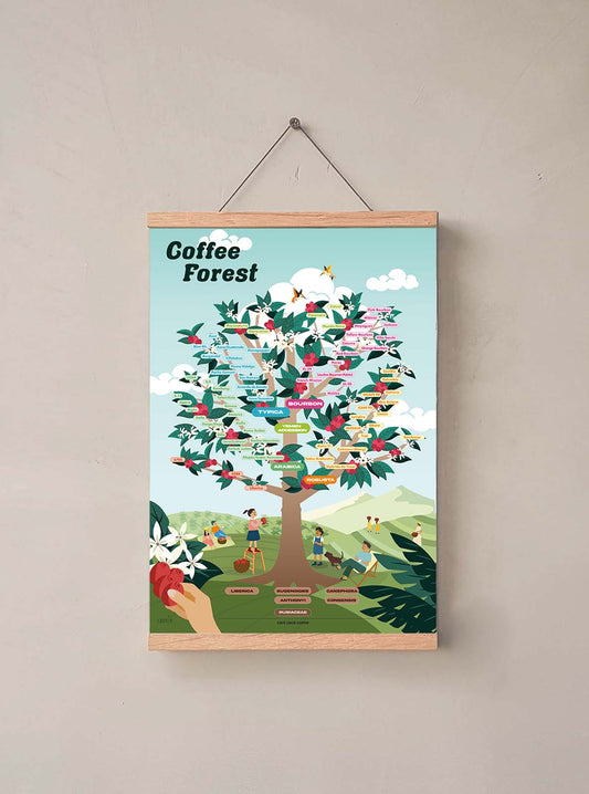 Poster: Coffee Forest