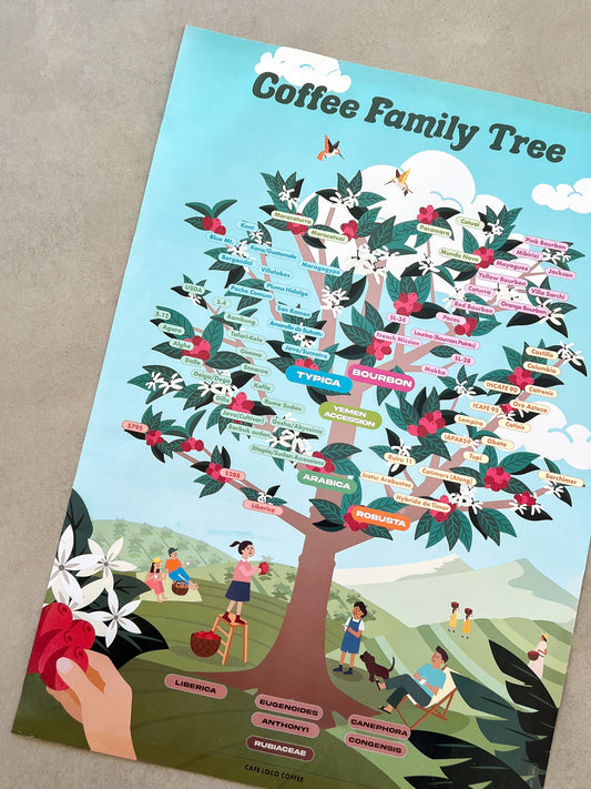 Poster: Coffee Forest